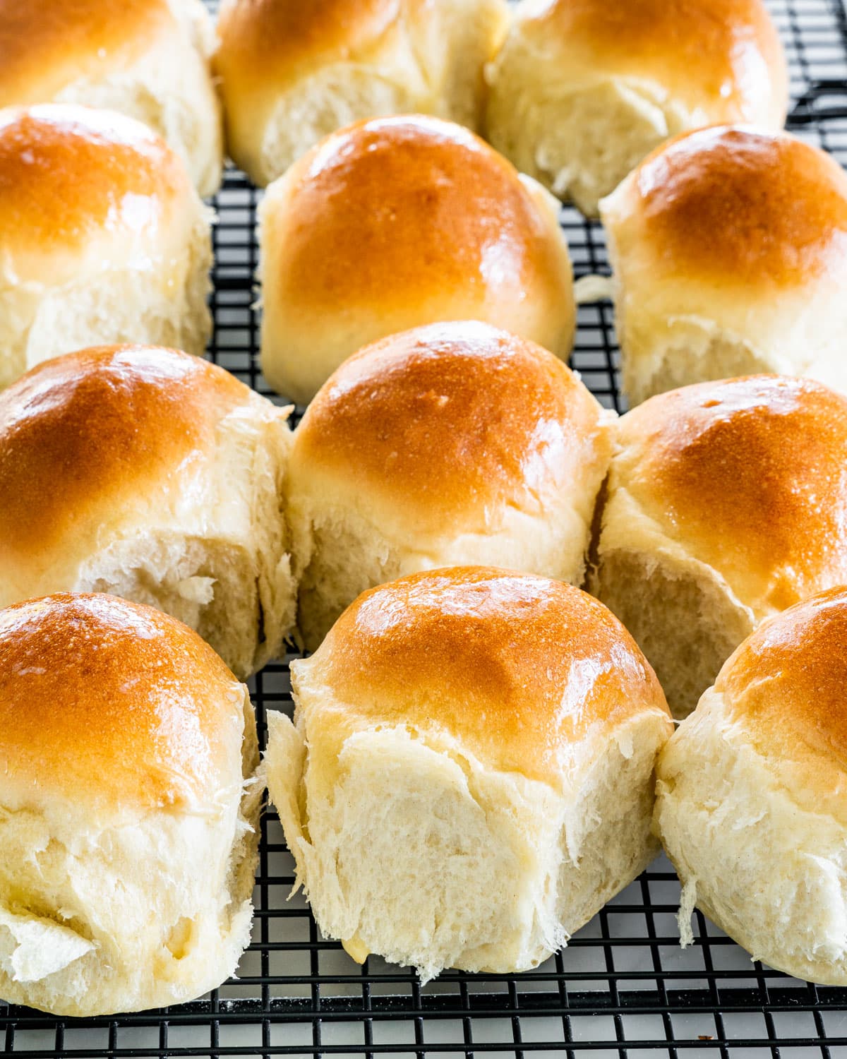 Sides: Homemade Yeast Rolls